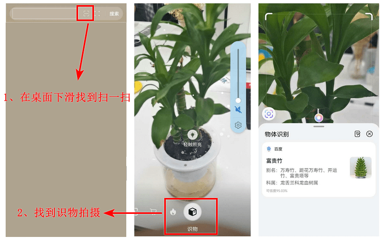 植物识别软件苹果版进入苹果中国官方网站